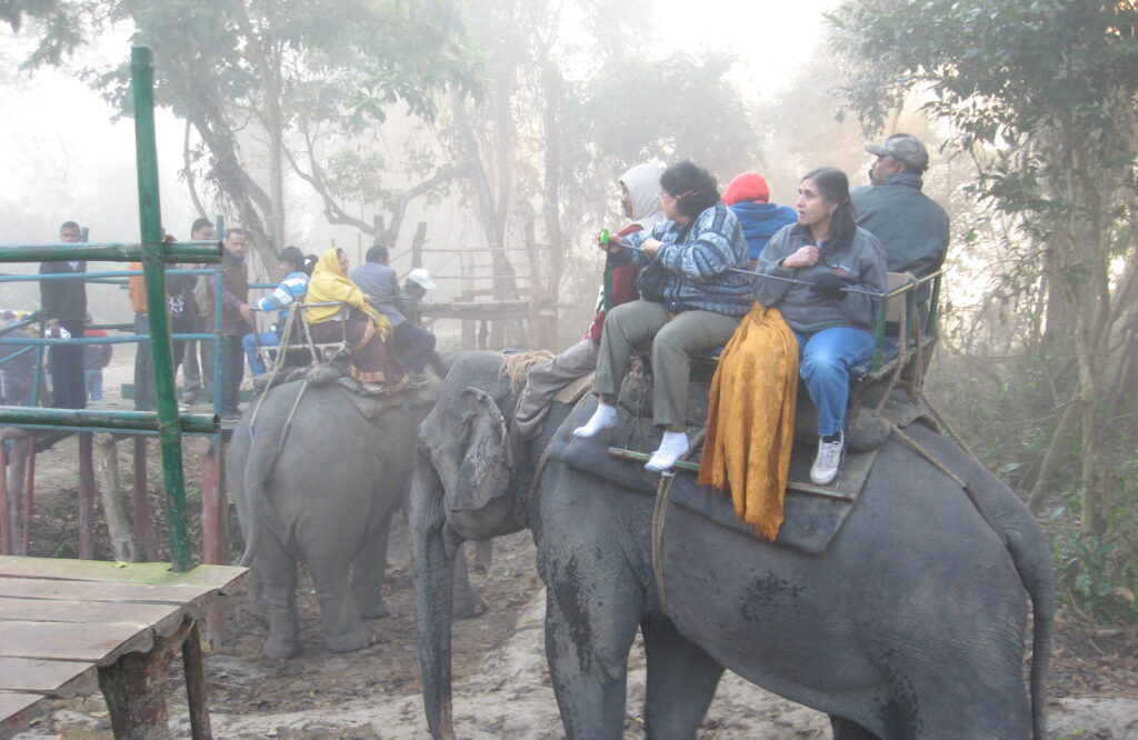 Kaziranga National Park Assam India 03