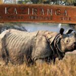 Kaziranga National Park Kaziranga National Park