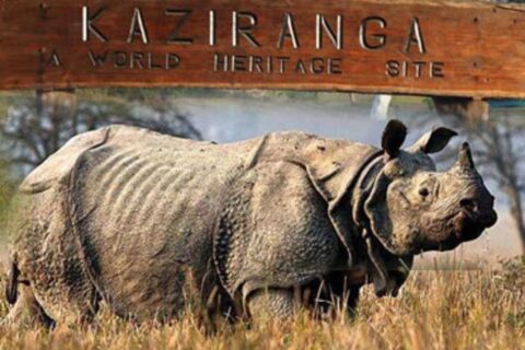 Kaziranga National Park Kaziranga National Park